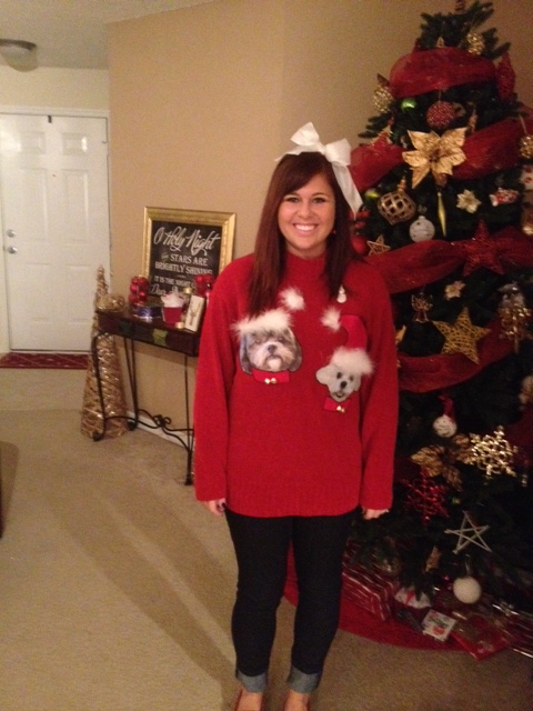 diy dog christmas sweater