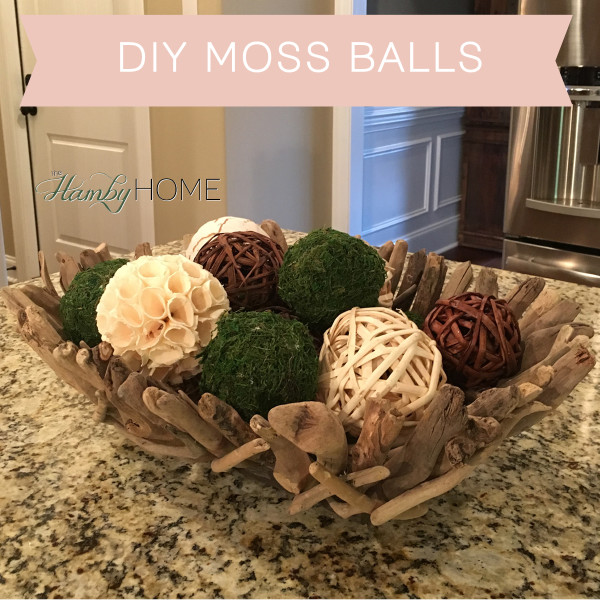 DIY Moss Ball V