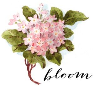 bloom-pillow